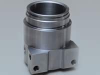 Forged and Machined Housings - Vertical