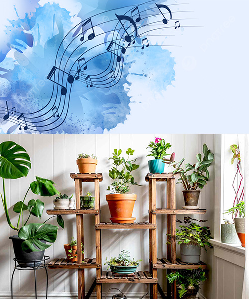 Music, Gardening & Family