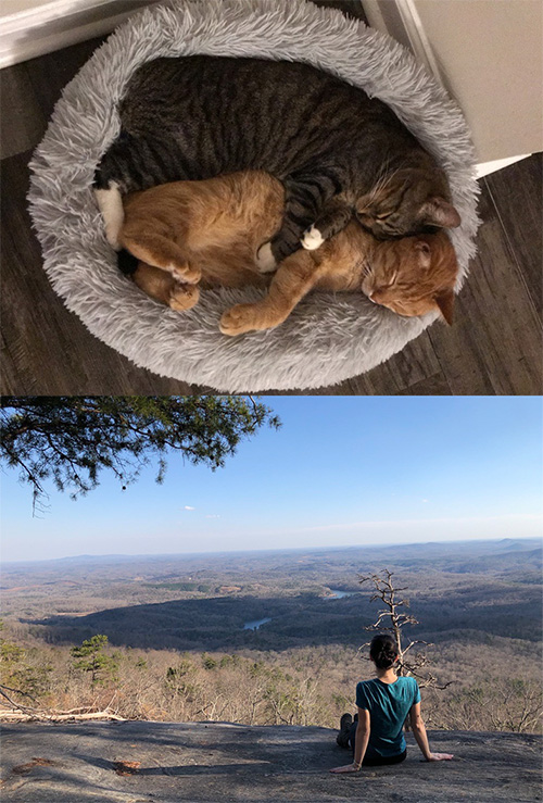 Volleyball, Family & Cats