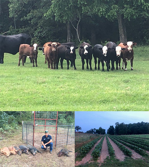 Fishing, Hunting & Farming