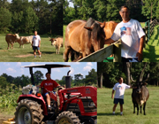 Ranch Life