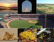 Golf, Photography, Sports, Wildlife, Cooking, Travel, Toy Models